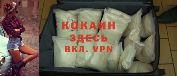 сатива Чердынь