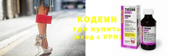 сатива Чердынь