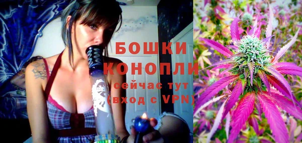 сатива Чердынь
