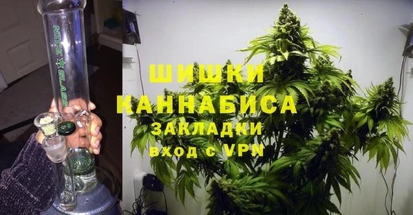 сатива Чердынь