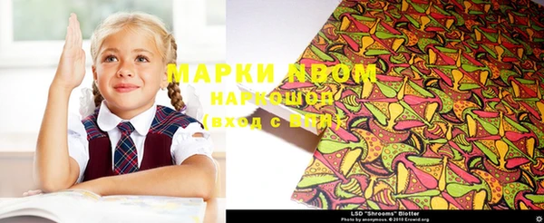 соль ск Чегем