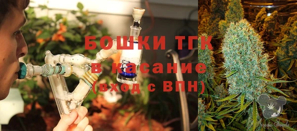 сатива Чердынь