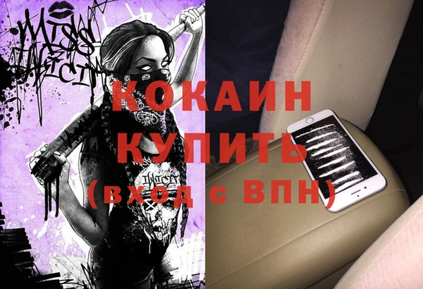 сатива Чердынь