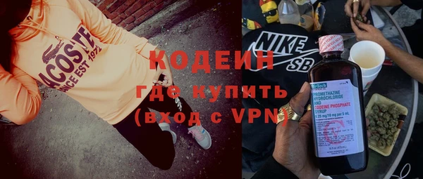 сатива Чердынь