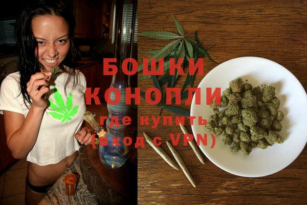 PSILOCYBIN Богородицк