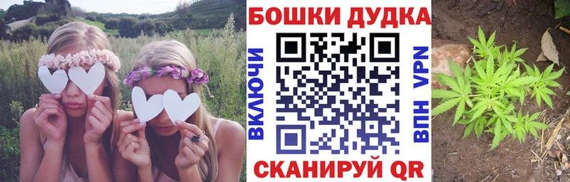 МАРИХУАНА семена  Чехов 